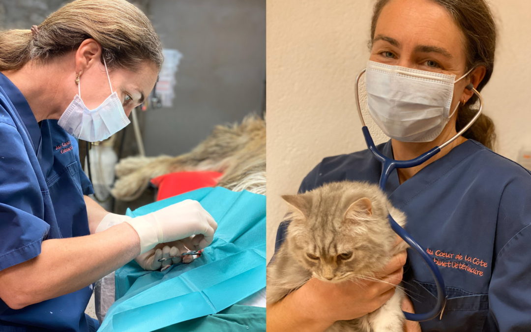 Saskia, jeune vétérinaire, au secours de nos animaux