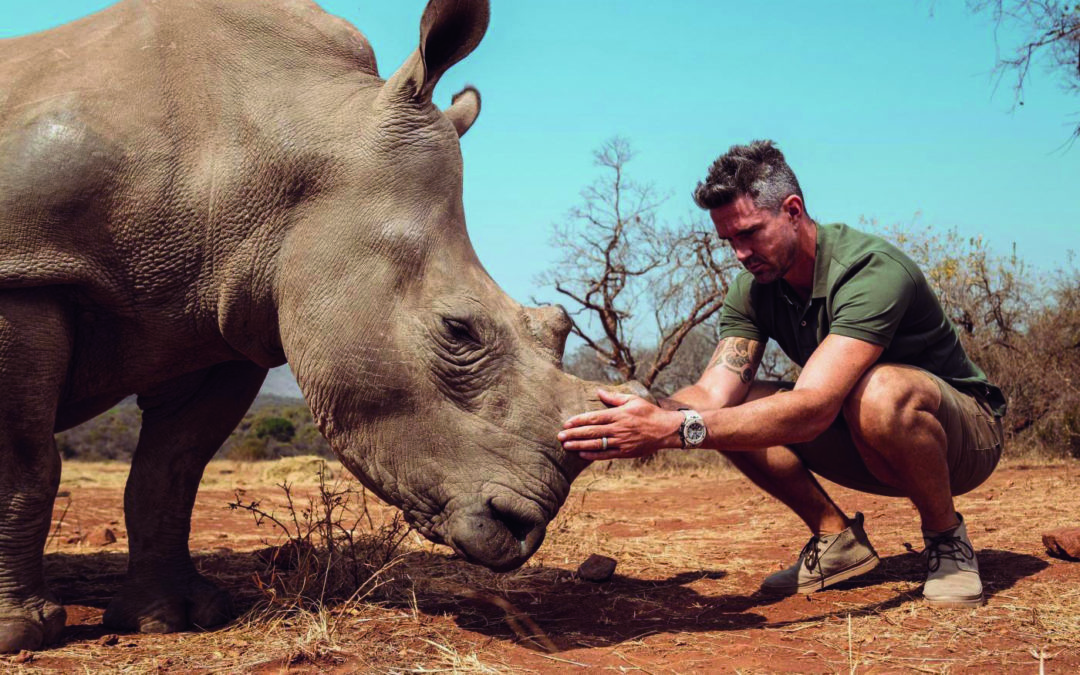 Hublot soutient Sorai : sauvons les rhinocéros!